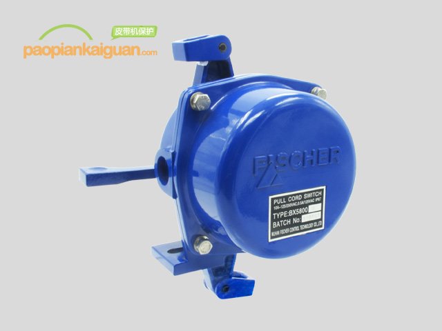 BX5800B(手動復(fù)位型)拉繩開關(guān)